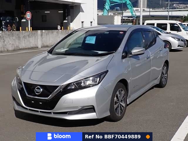 2019 Nissan Leaf