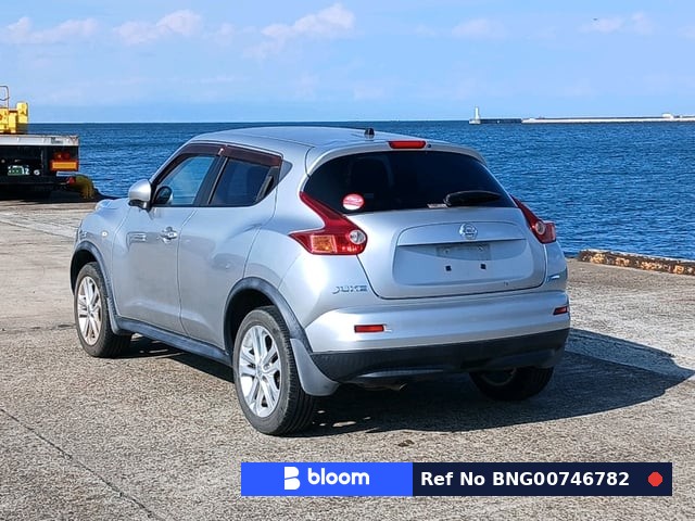 2010 Nissan Juke