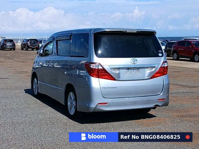 2010 Toyota Alphard