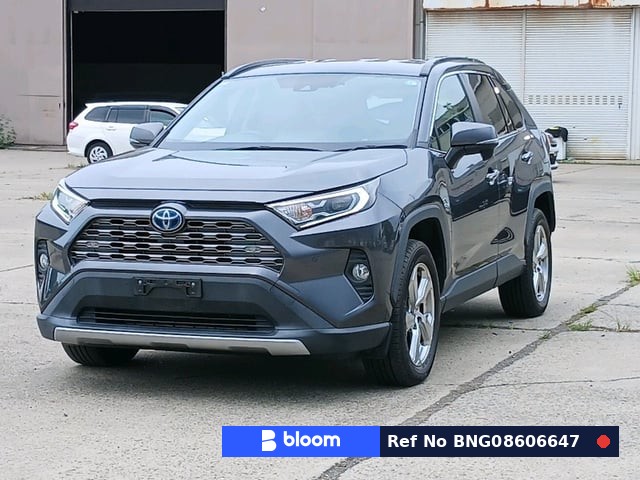 2019 Toyota RAV4