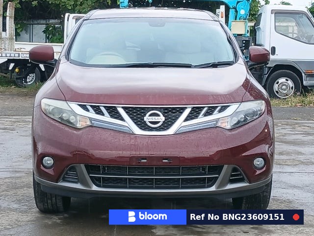 2011 Nissan Murano