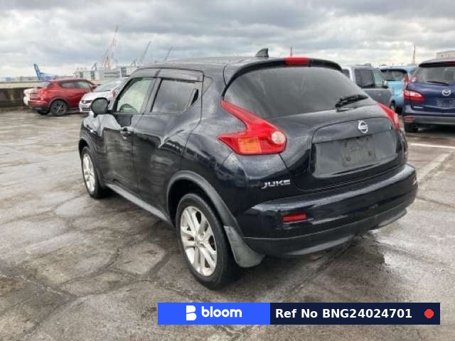 2013 Nissan Juke