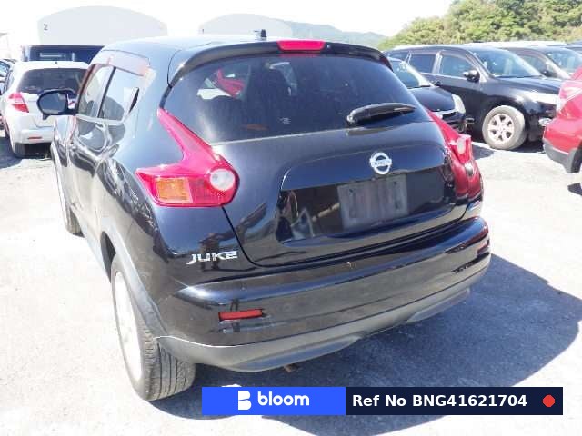 2010 Nissan Juke