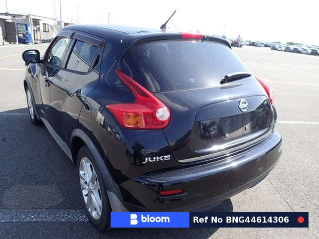 2011 Nissan Juke