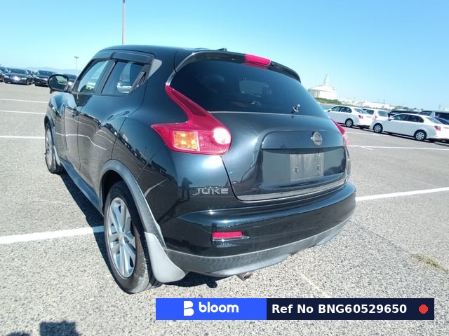 2012 Nissan Juke