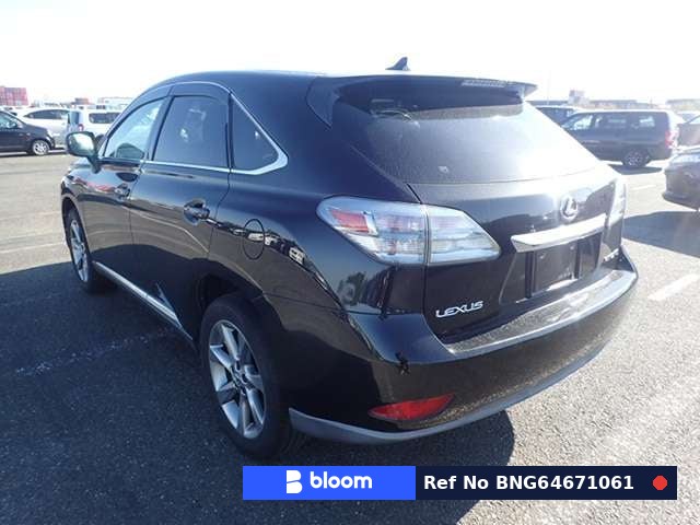2010 Lexus RX