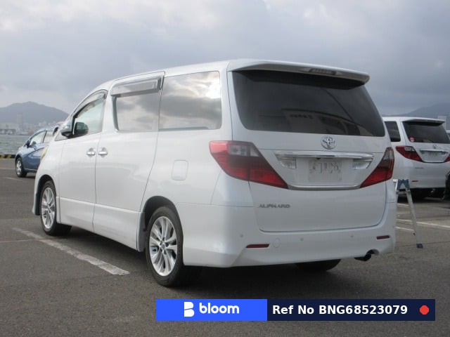 2010 Toyota Alphard