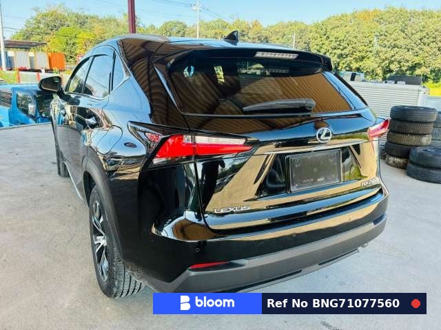 2015 Lexus NX