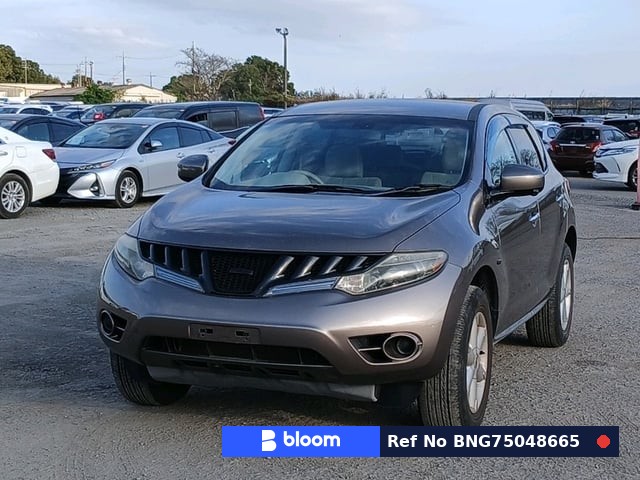 2010 Nissan Murano