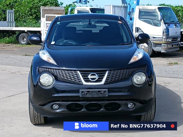 2011 Nissan Juke