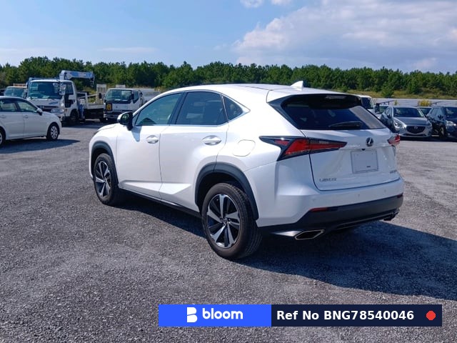 2019 Lexus NX
