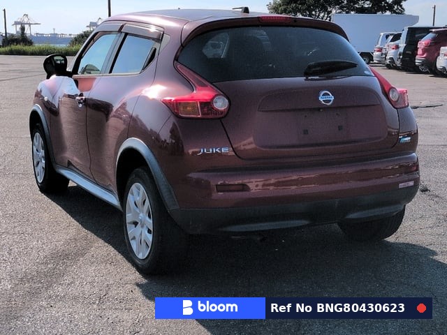 2011 Nissan Juke