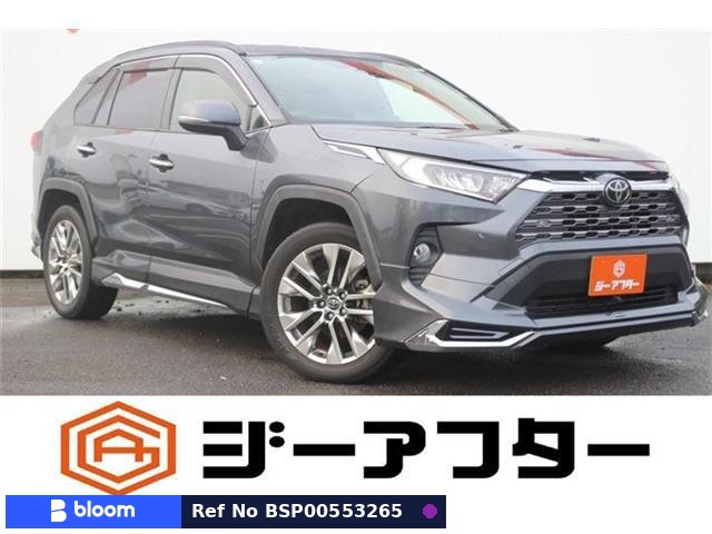 2019 Toyota RAV4