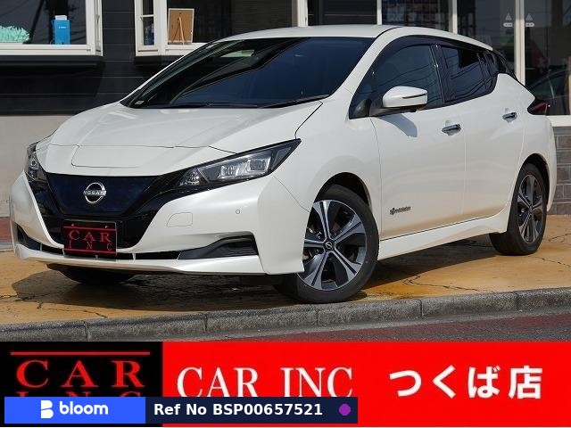 2021 Nissan Leaf