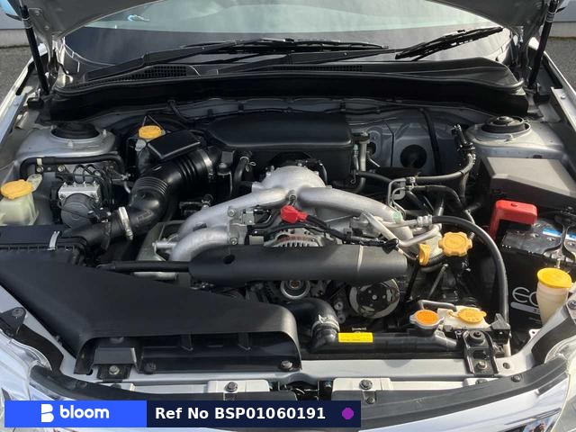 2010 Subaru Impreza Anesis
