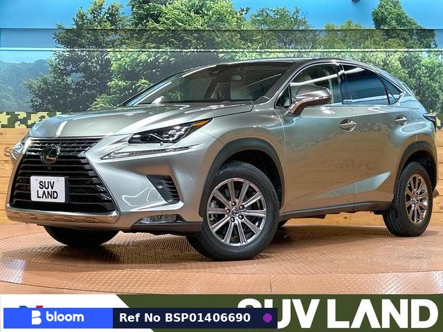 2017 Lexus NX