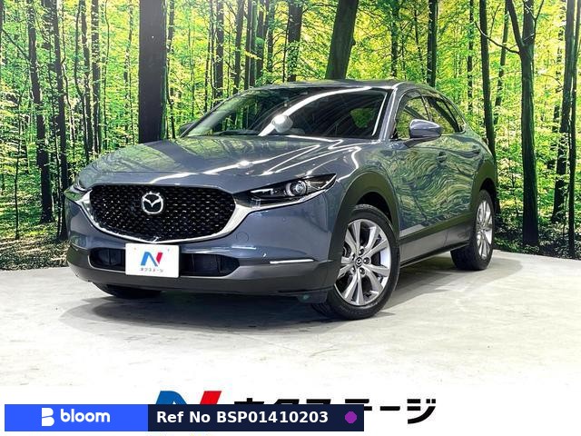 2019 Mazda CX-30