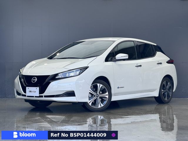 2021 Nissan Leaf