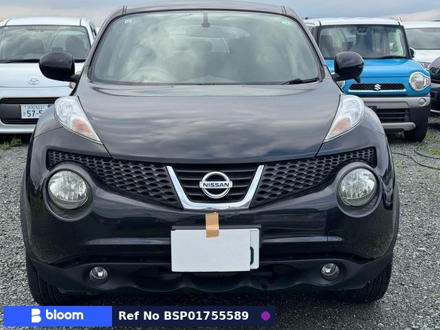 2011 Nissan Juke