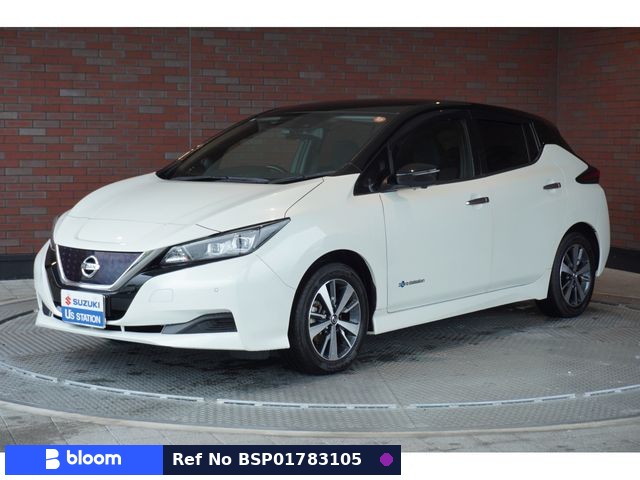 2019 Nissan Leaf