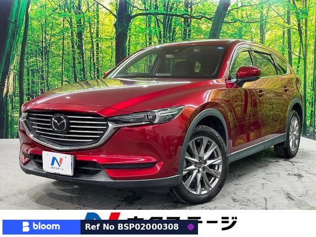 2019 Mazda CX-8