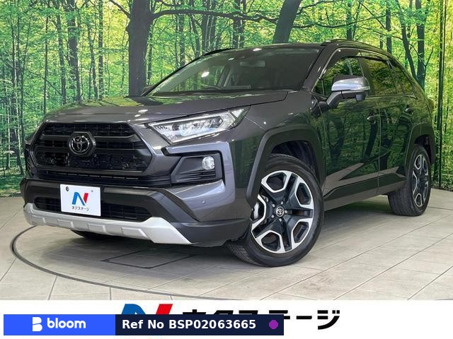 2019 Toyota RAV4