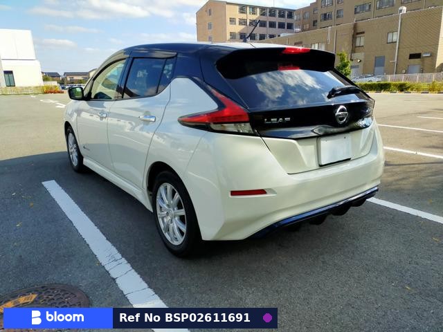 2017 Nissan Leaf