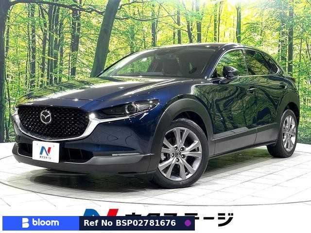 2019 Mazda CX-30