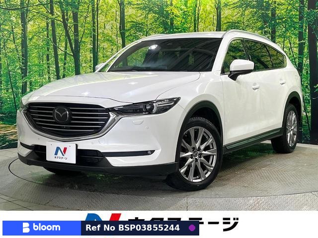 2017 Mazda CX-8