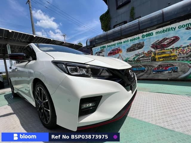 2021 Nissan Leaf