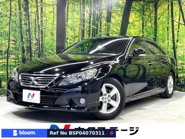 2010 Toyota Mark X