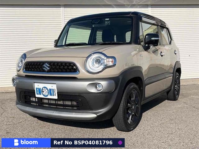2019 Suzuki X BEE