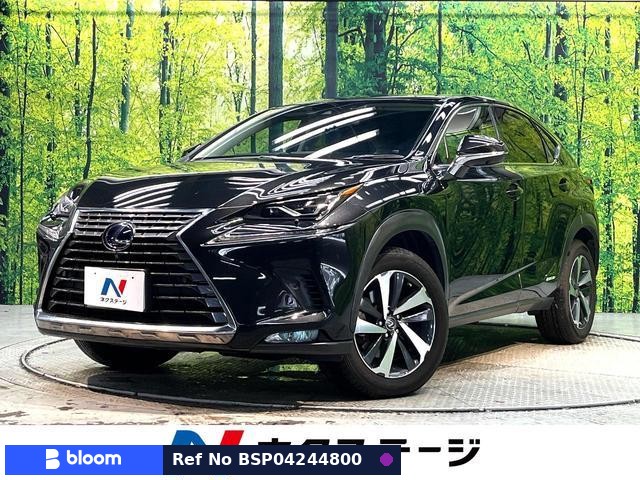 2019 Lexus NX