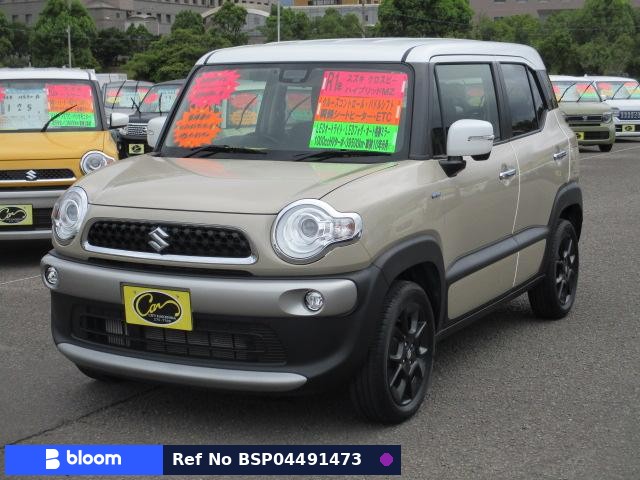 2019 Suzuki X BEE