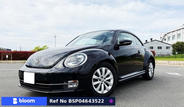 2013 Volkswagen THE Beetle