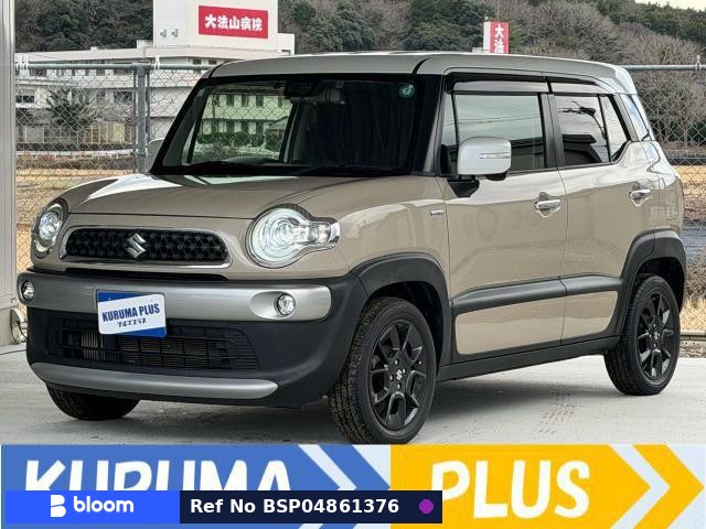 2018 Suzuki X BEE