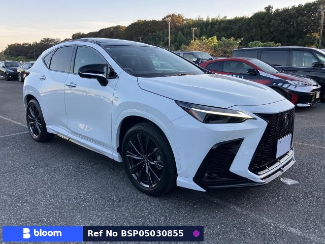 2025 Lexus NX