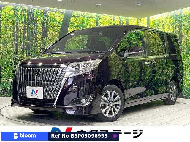 2019 Toyota Esquire