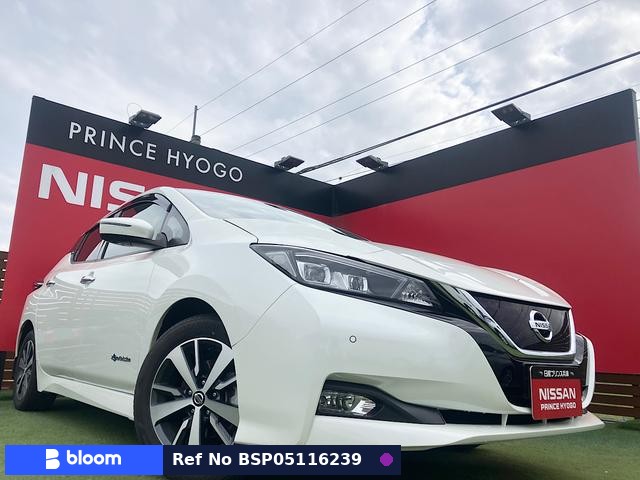 2019 Nissan Leaf