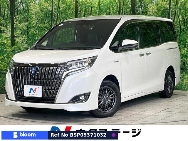 2019 Toyota Esquire