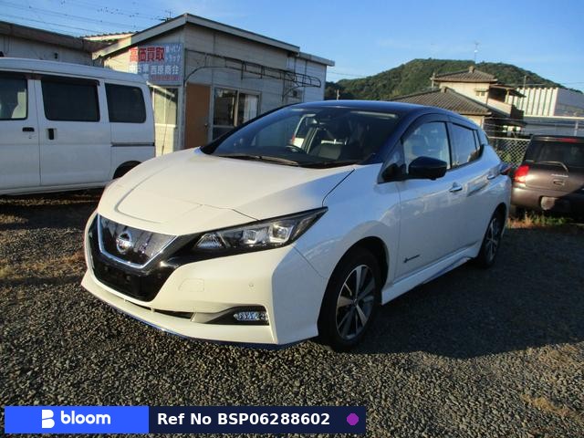 2019 Nissan Leaf