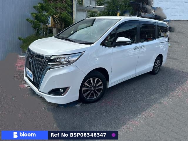 2019 Toyota Esquire