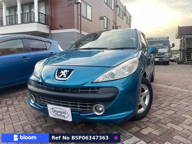 2008 Peugeot 207