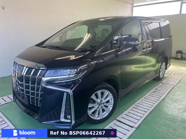 2018 Toyota Alphard