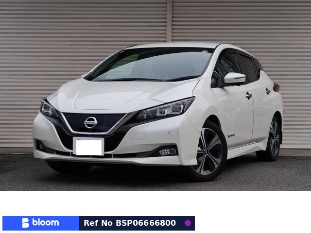 2020 Nissan Leaf