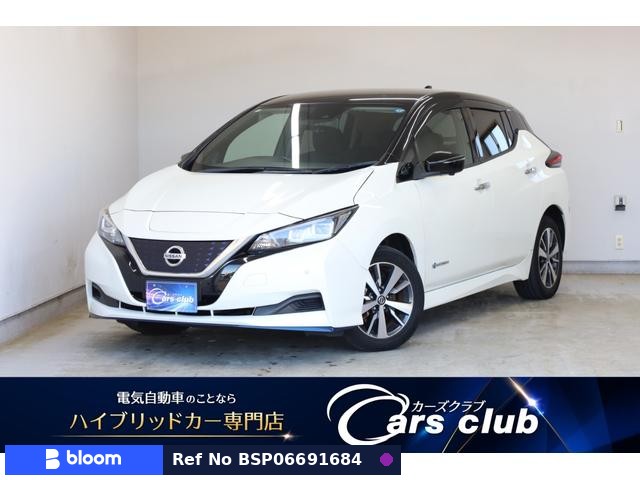 2020 Nissan Leaf