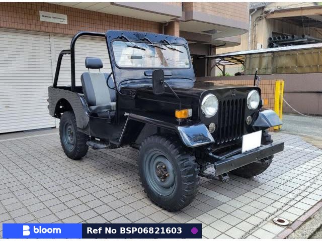 1995 Mitsubishi Jeep