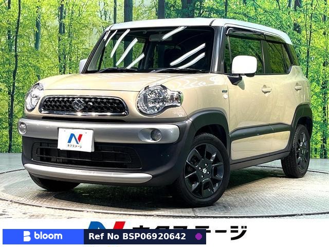 2019 Suzuki X BEE