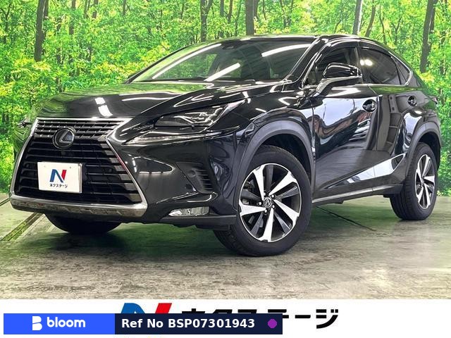 2018 Lexus NX