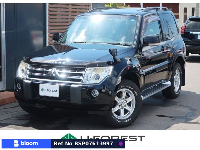 2011 Mitsubishi Pajero